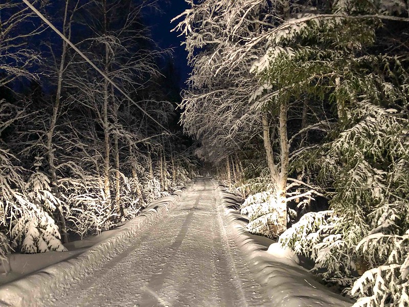 Snowy cottage road