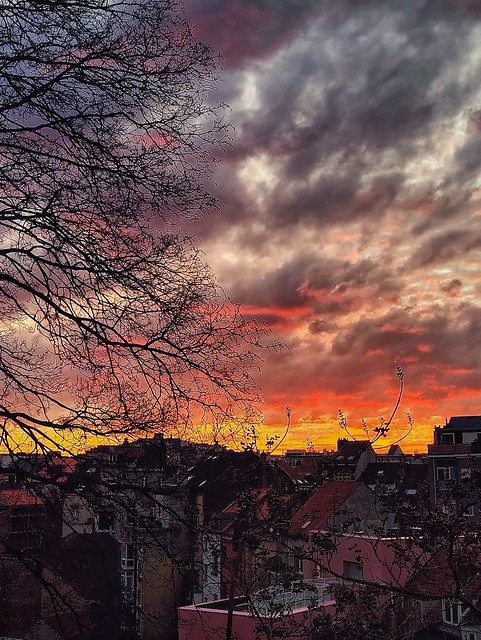 Sunset in Ixelles / Elsene, Brussels, Belgium, 2022
