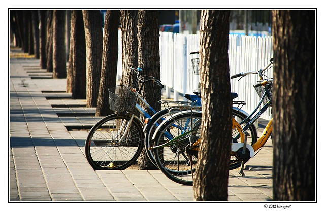 two bikes