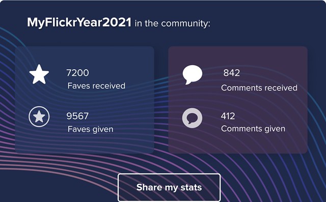 MyFlickrYear in the community.