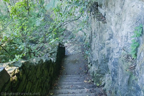 Stairs in Devils Hole down into the gorge, Devils Hole State Park, New York