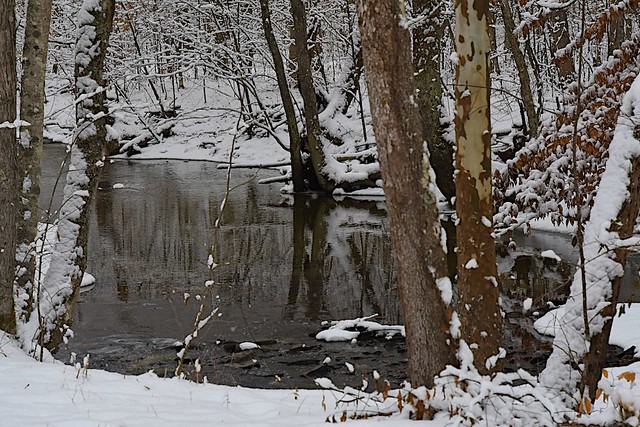 Pond Lick Run at Shawnee State Forest, Ohio