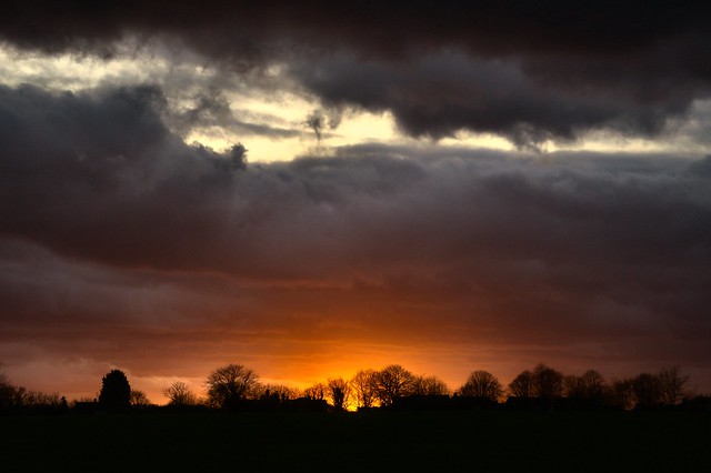 February Sunset, Western Park, Leicester