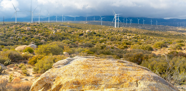 McCain Valley Resource Conservation Area