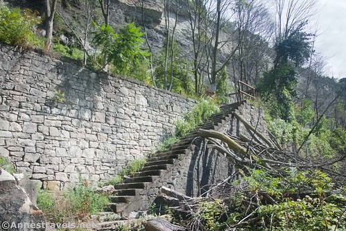 The stairway at the old railway viewpoint, Whirlpool State Park, New York