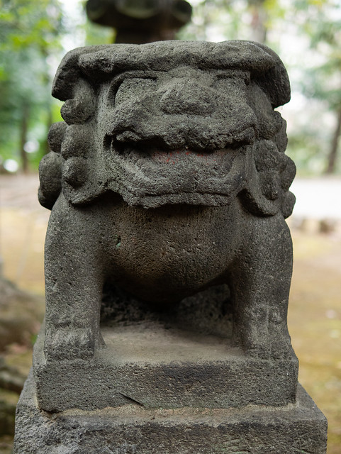 赤坂氷川神社の狛犬さん 阿