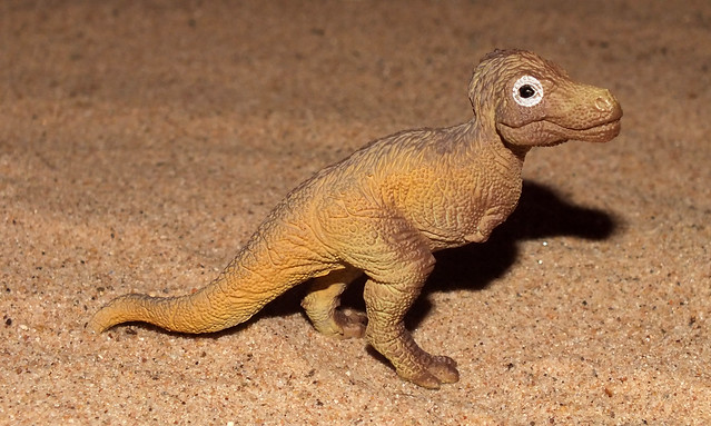 Tyrannosaurus (†Tyrannosaurus rex) juvenile PNSO replica