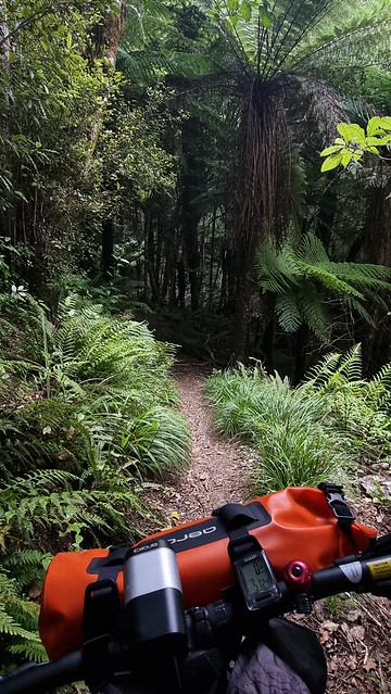 Rameka Trail | Tākaka Hill