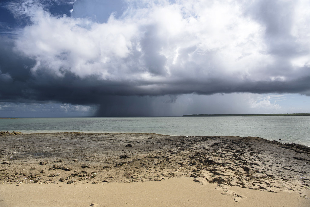 Pelican Island summer rain.