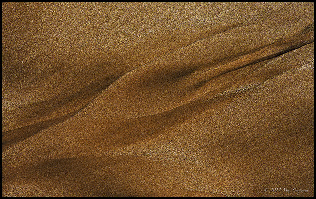 Patterns in the Sand - Explore, February 4, 2022