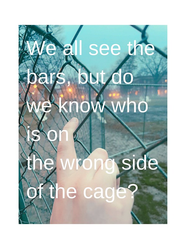 We all see the bars, but do we know who is on the wrong side of the cage?