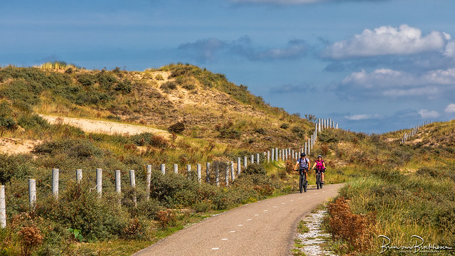 Cycle path through the dunes (HFF)