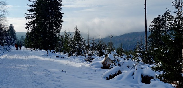 Germany, Winter in Kaltenbronn, Nordschwarzwald, 60155/20431