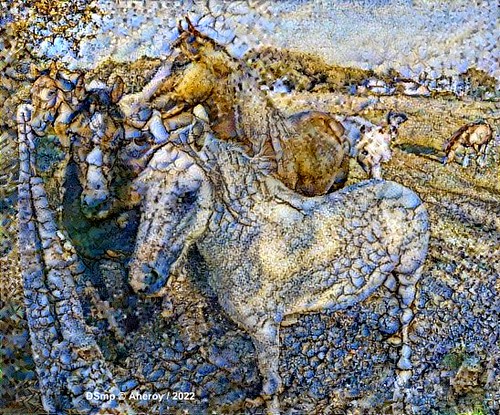 Horses,...Romantic Mystic Art