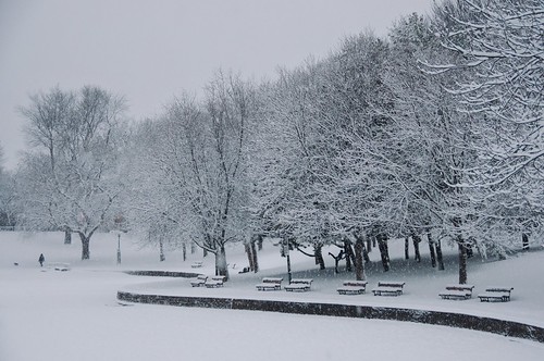valterb view nikond90 nikkor landscape light scenic snow snowstorm trees people urban urbanphotography white