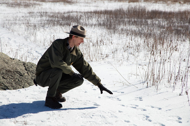 Ranger Karl Spots Tracks in the Snow