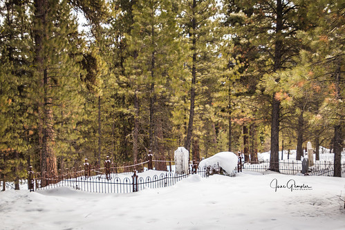winter snow cemetery trees