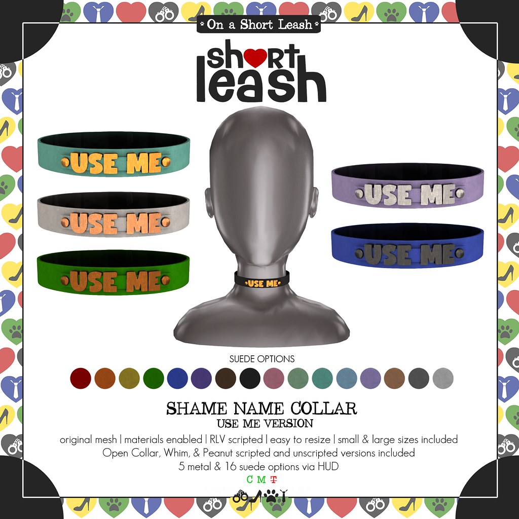 .:Short Leash:. Shame Name Collar