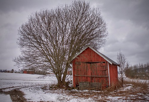 winter snow tree field norway barn rural landscape countryside outdoor decay farm shed weathered shack ust trondheim kattem agriculture
