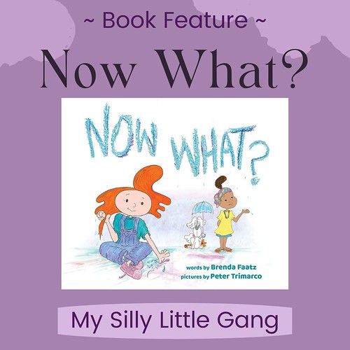 Now What? by Brenda Faatz ~ Book Feature #MySillyLittleGang