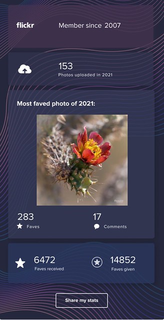 MyFlickrYear2021 by the numbers.