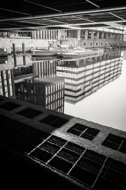 reflected cityscape