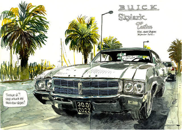 Buick_Skylark_Custom