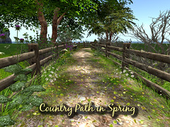 Country Path in Spring