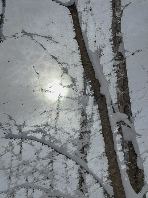 COLD SUN #5 (series of 7)