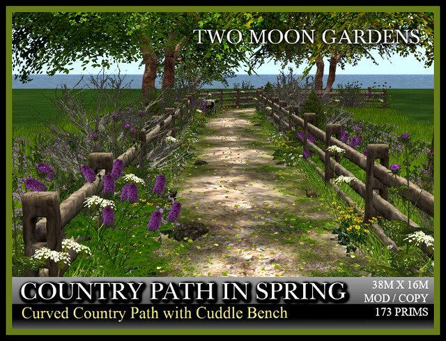Country Path in Spring