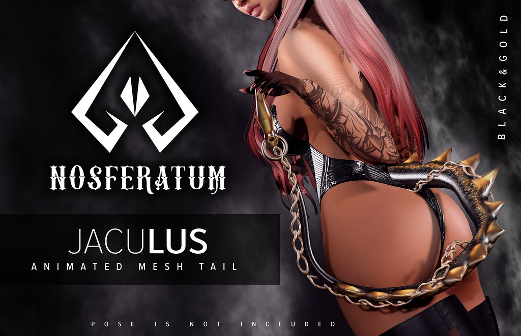 .: Nosferatum:. Jaculus Animesh Tail