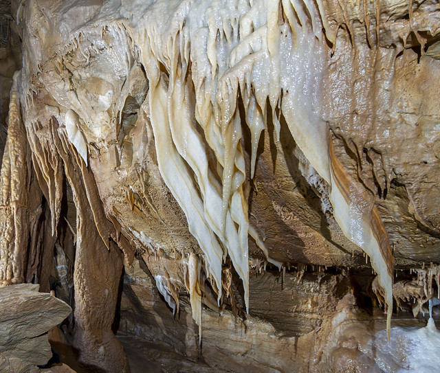 Draperies, Cathedral Room, Blue Spring Cave, White County, Tennessee 2