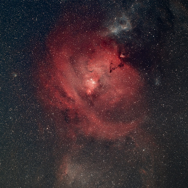 NGC2264 & Cie