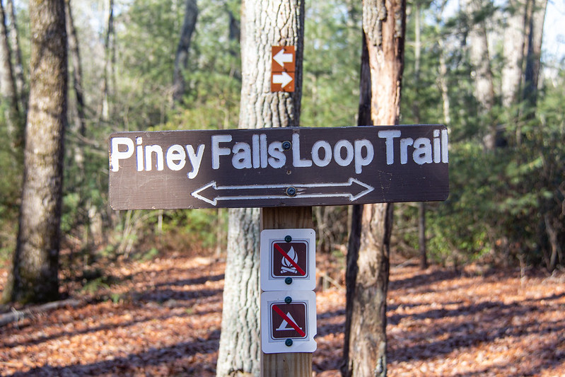 Piney Falls7
