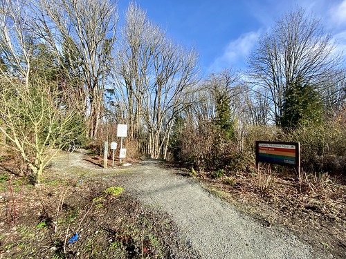 Entrance to Ridge Trail and Cheasty Greenspace at Mtn. View