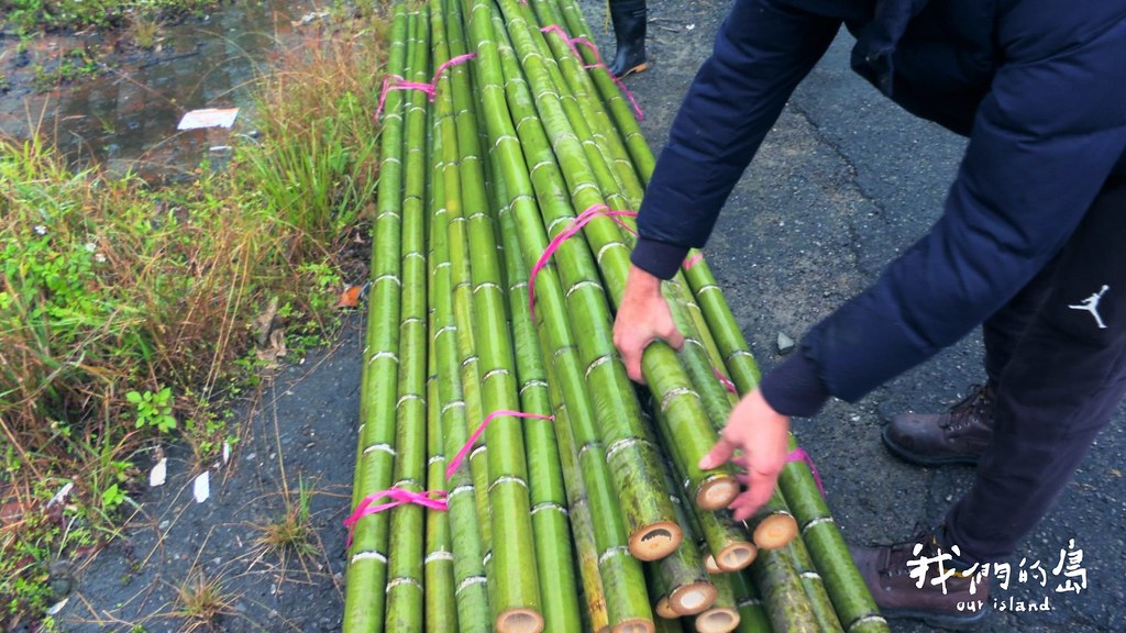 減碳壓力下，以負碳環保價值出發，可再生的台灣木竹能否開創新局，最重要是消費者支持。