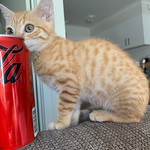 I started about the size of a Coke can!