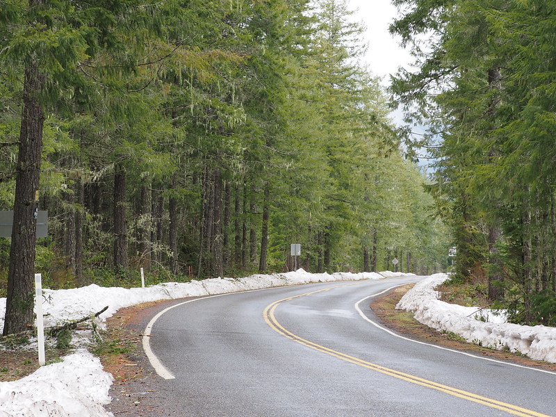 Washington State Route 119