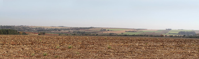 Oxisol landscape on farmland operated by the Sao Paulo State University System