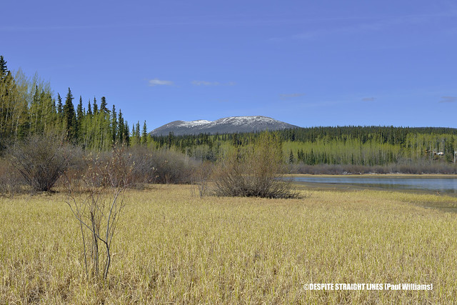Nisutlin Bay in Teslin, off the Alaska Highway 1 in Northern British Columbia, Canada  -  (Published by GETTY IMAGES)