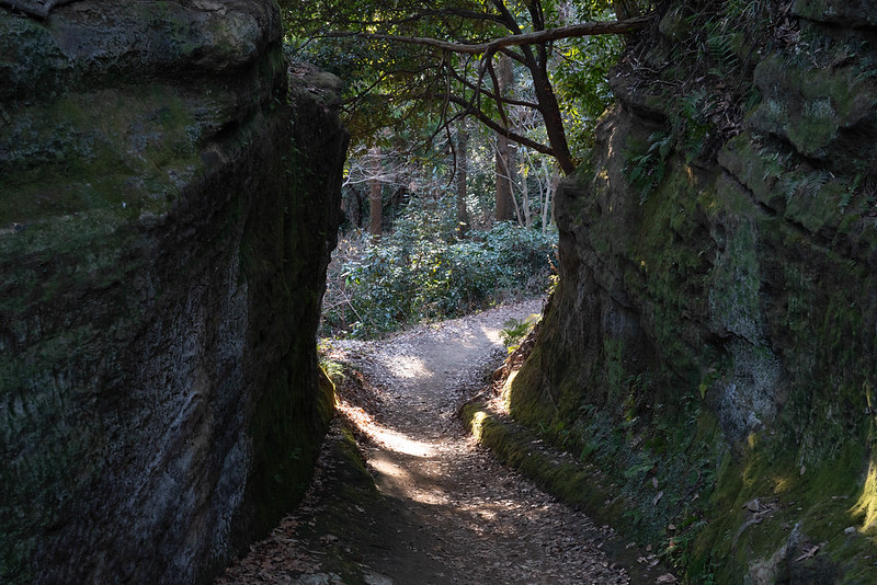 鎌倉天園へ