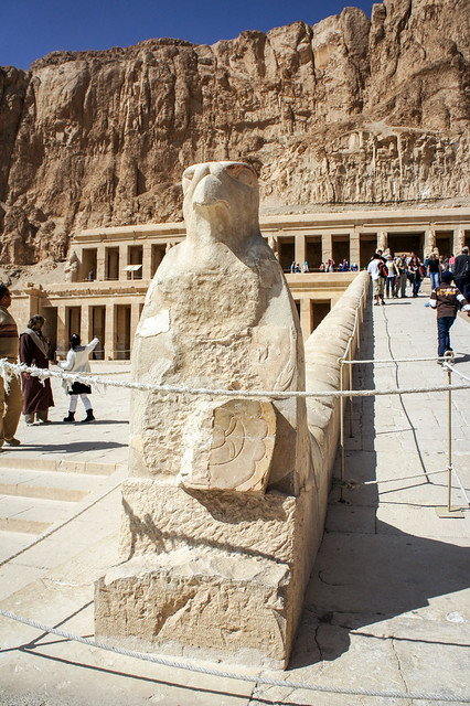 Horus at Hatshepsut Mortuary Temple