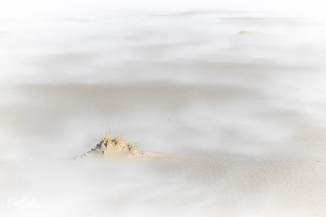 Miniature landscape on the beach 💚