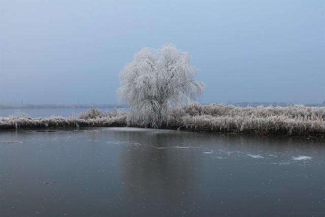 Frosty Nature