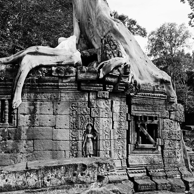 Goddess of the Tree Roots - Preah Khan Temple Complex, Cambodia
