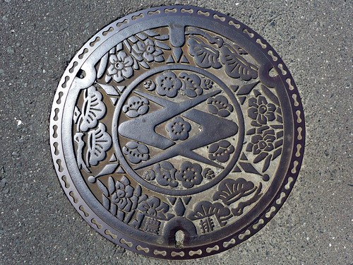 Toyooka Shizuoka, manhole cover （静岡県豊岡村のマンホール）