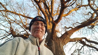 Selfie with tree at sunset