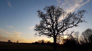 Sussex sunset 2