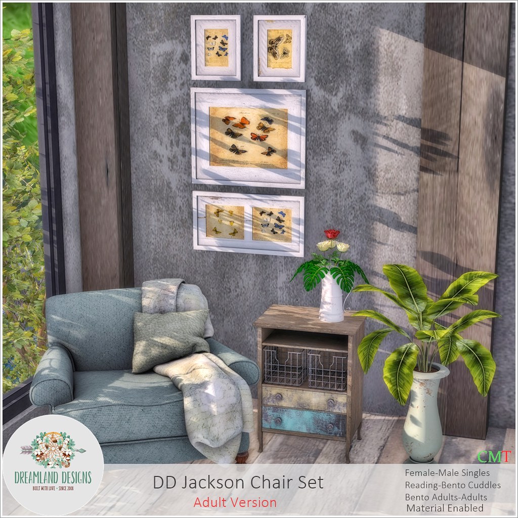 DD Jackson Chair Set Adult AD