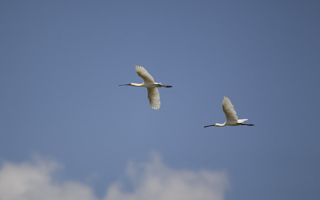 20140613_0219
